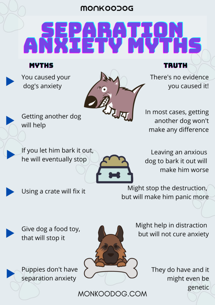 Symptoms of Separation Anxiety In Dogs - Venngage