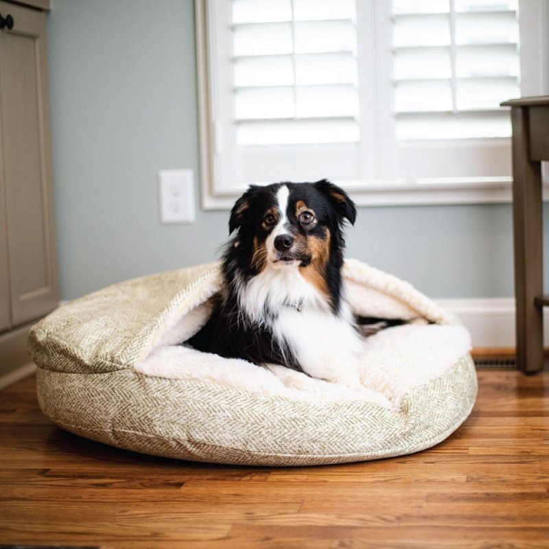 Snoozer Luxury Cozy Cave Pet Bed