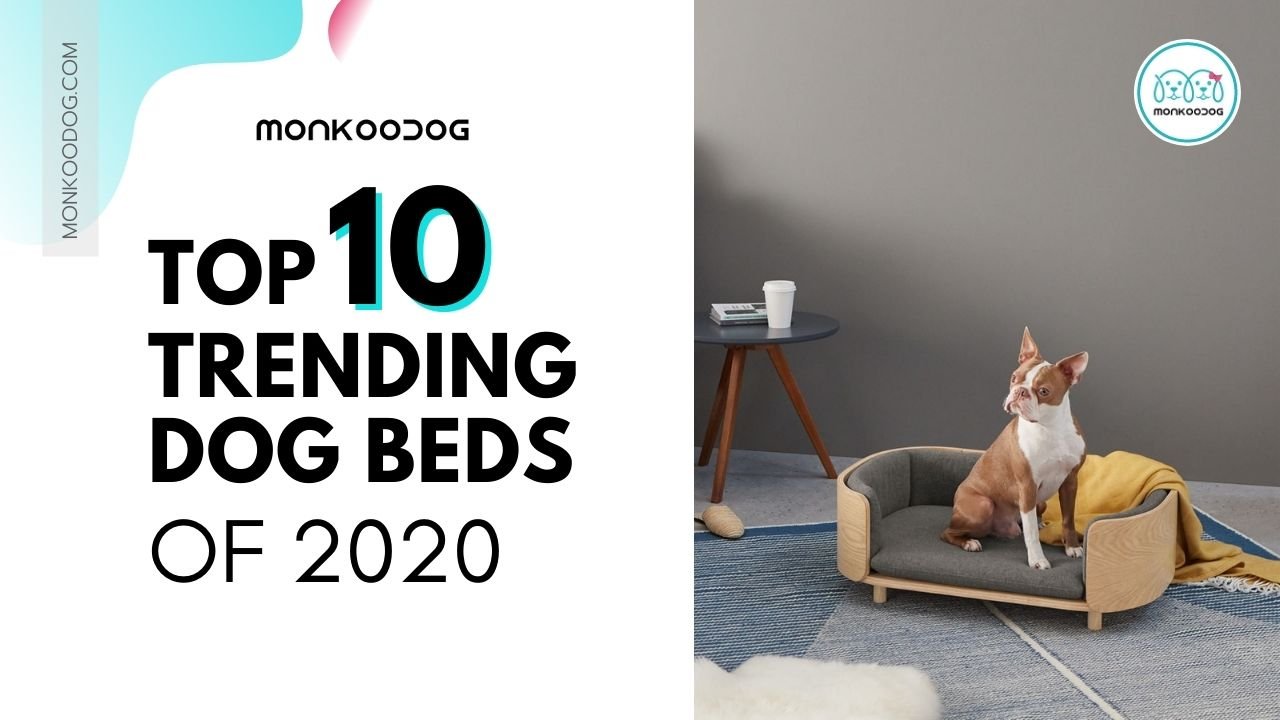 Top 10 Trending Dog Beds that you can buy online Monkoodog