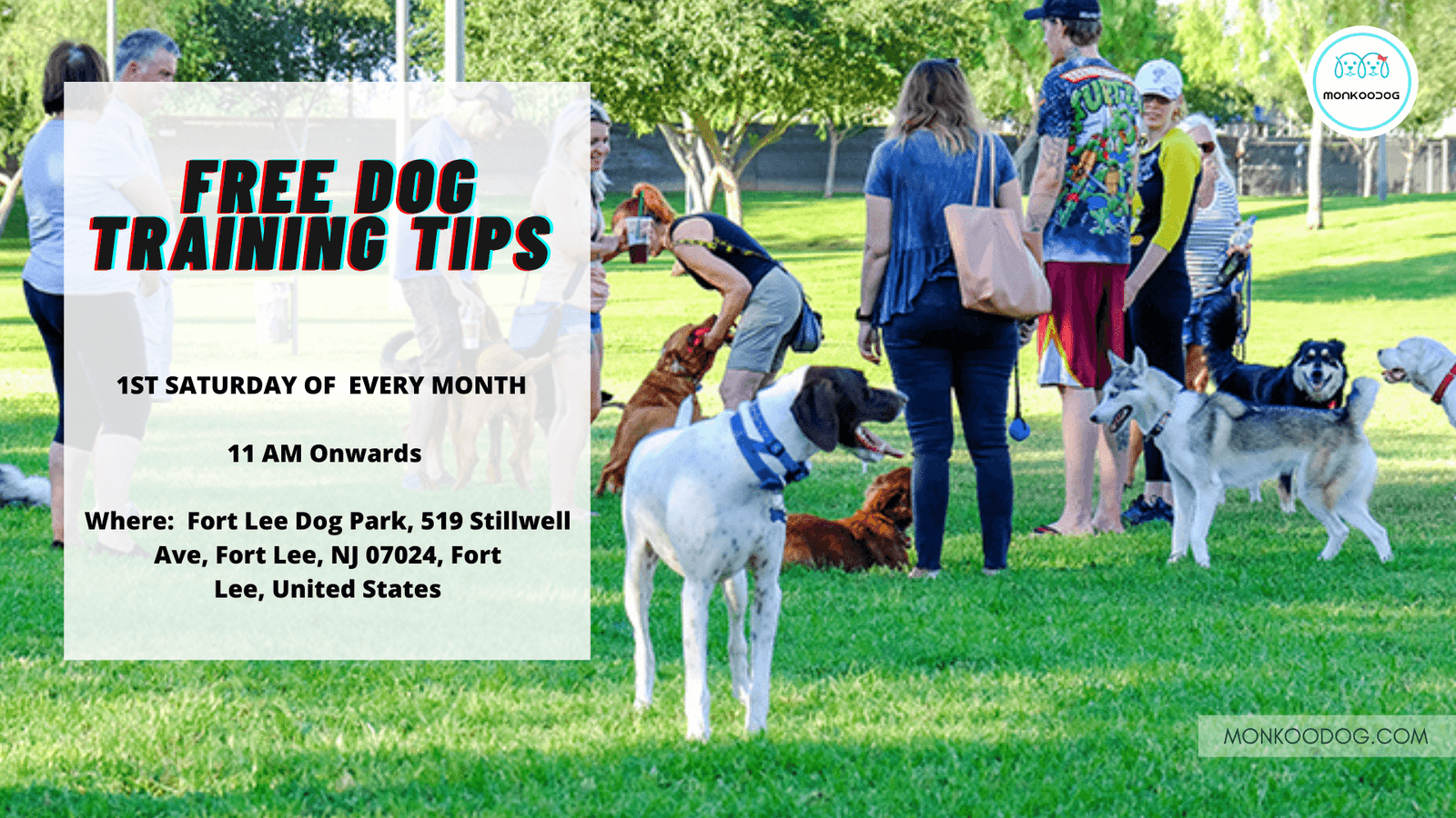 Free Dog Training Tips at the Fort Lee Dog Park Monkoodog