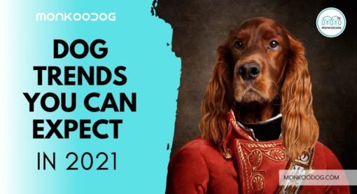 Dog Trends You Can Expect In 2021