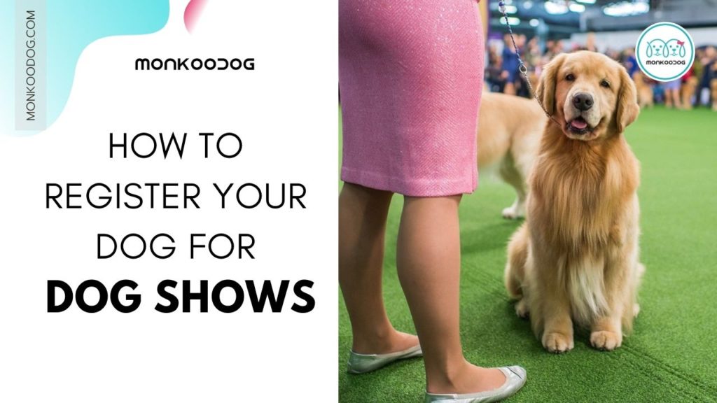 How To Register Your Dog For Dog Shows
