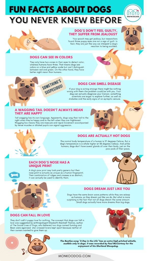 fun facts about dogs you never knew before.