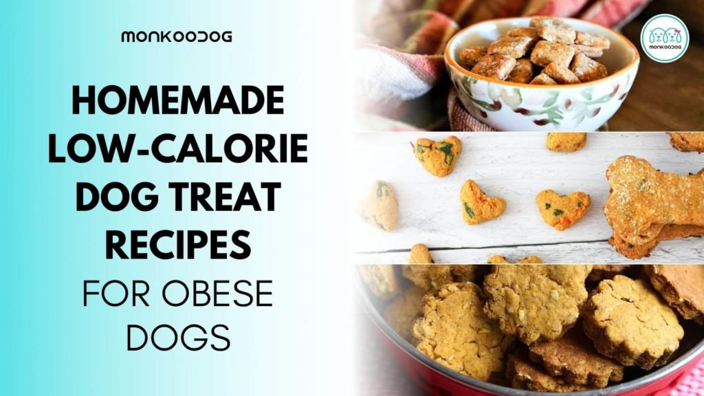 DIY Homemade Low-Calorie Dog Treats For Obese Dogs