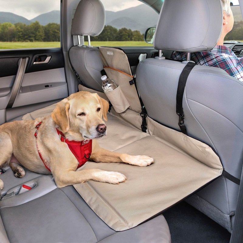 Designate a place for your Dog in the Car