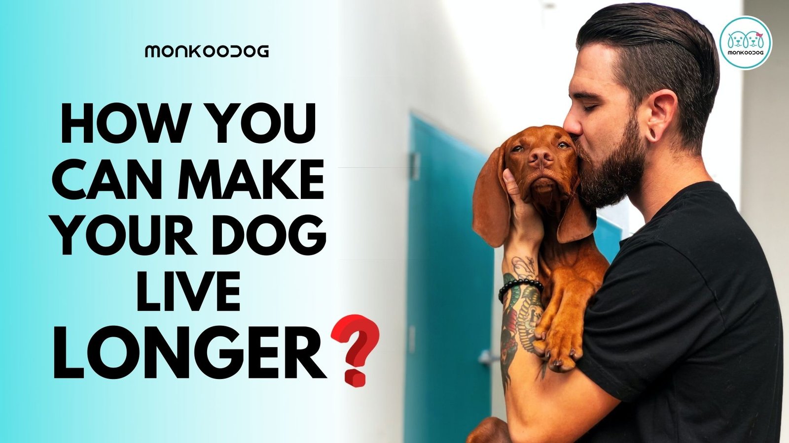 How You Can Make Your Dog Live Longer And A Healthier Life
