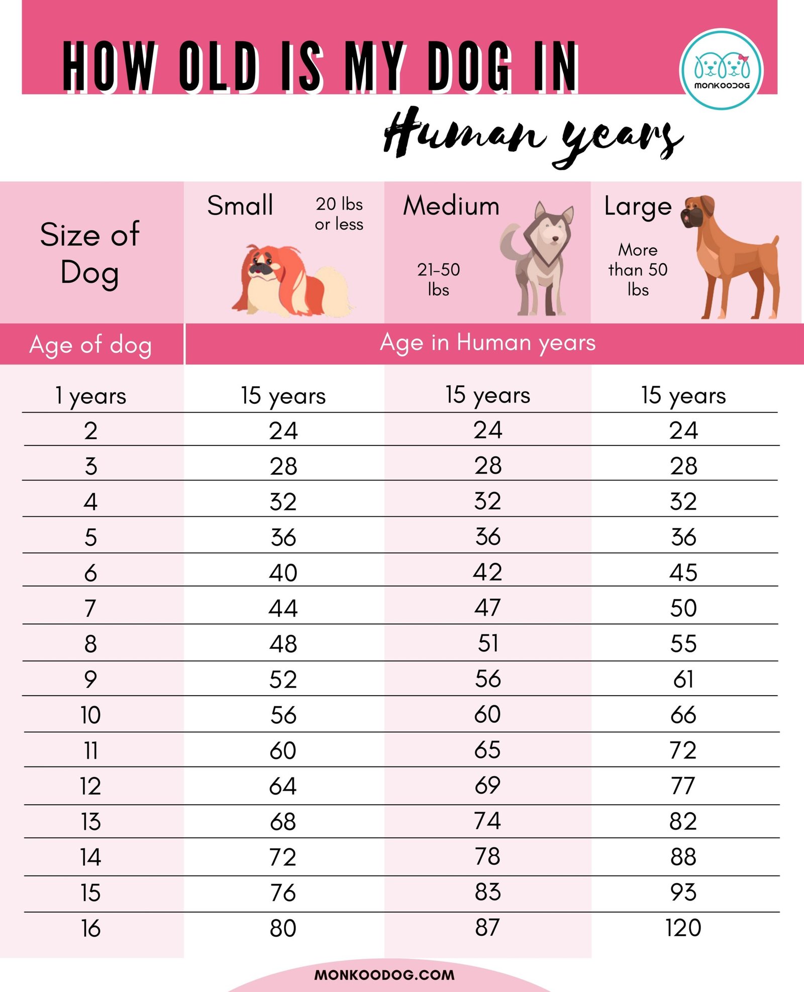 how old is a 15 year old dog in human