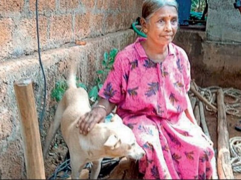 dog remained seated