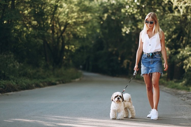 Pretty woman with her dog out in the park