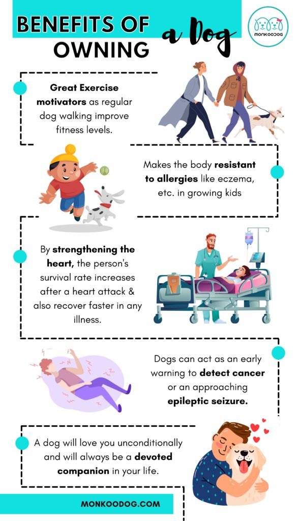 Benefits of owning a dog in a family infographic by monkoodog