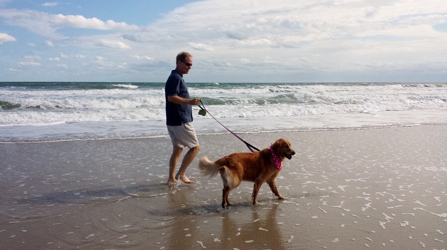 Edisto Island Town Beach and State Park