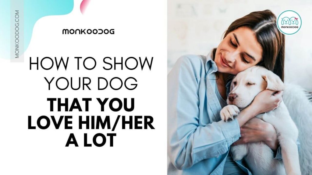 How to show your dog that you love