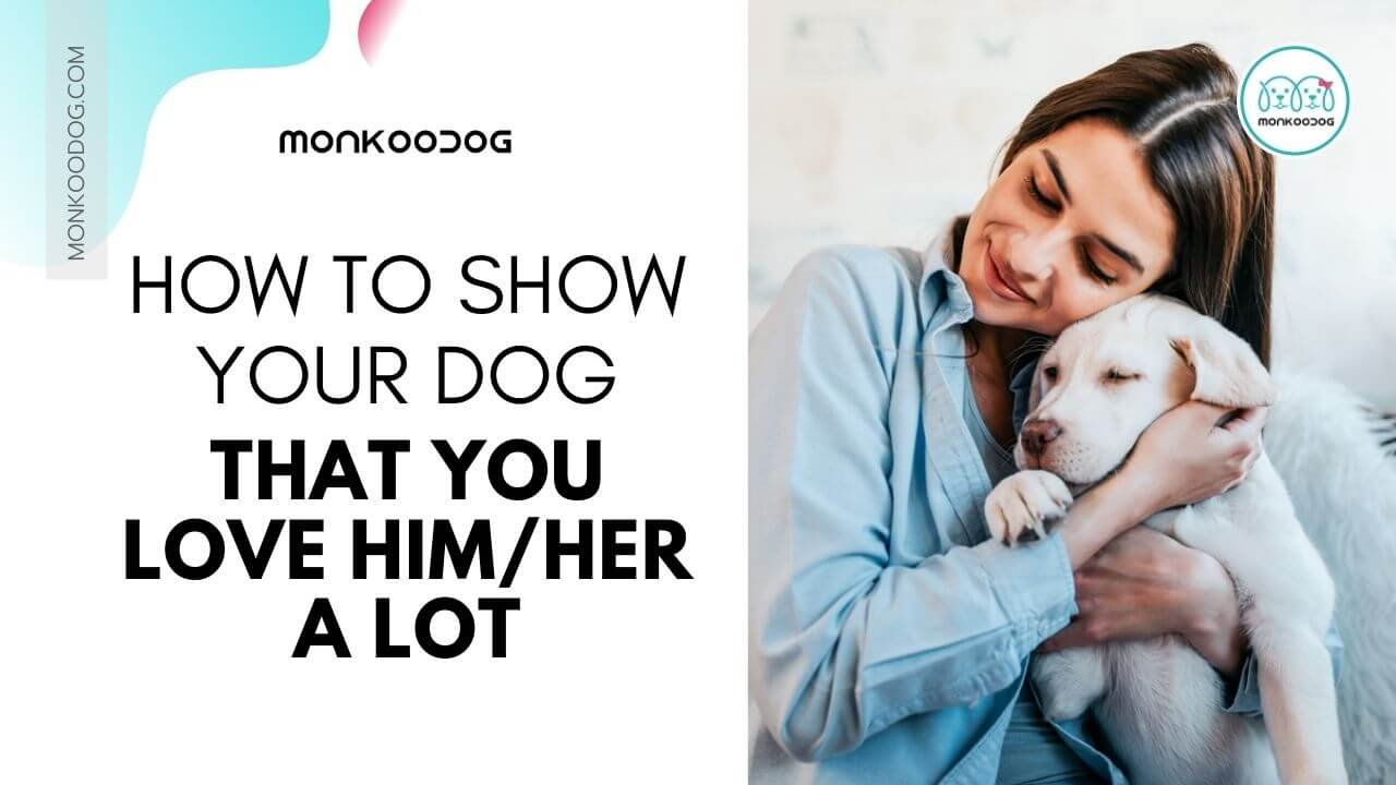 How to show your dog that you love