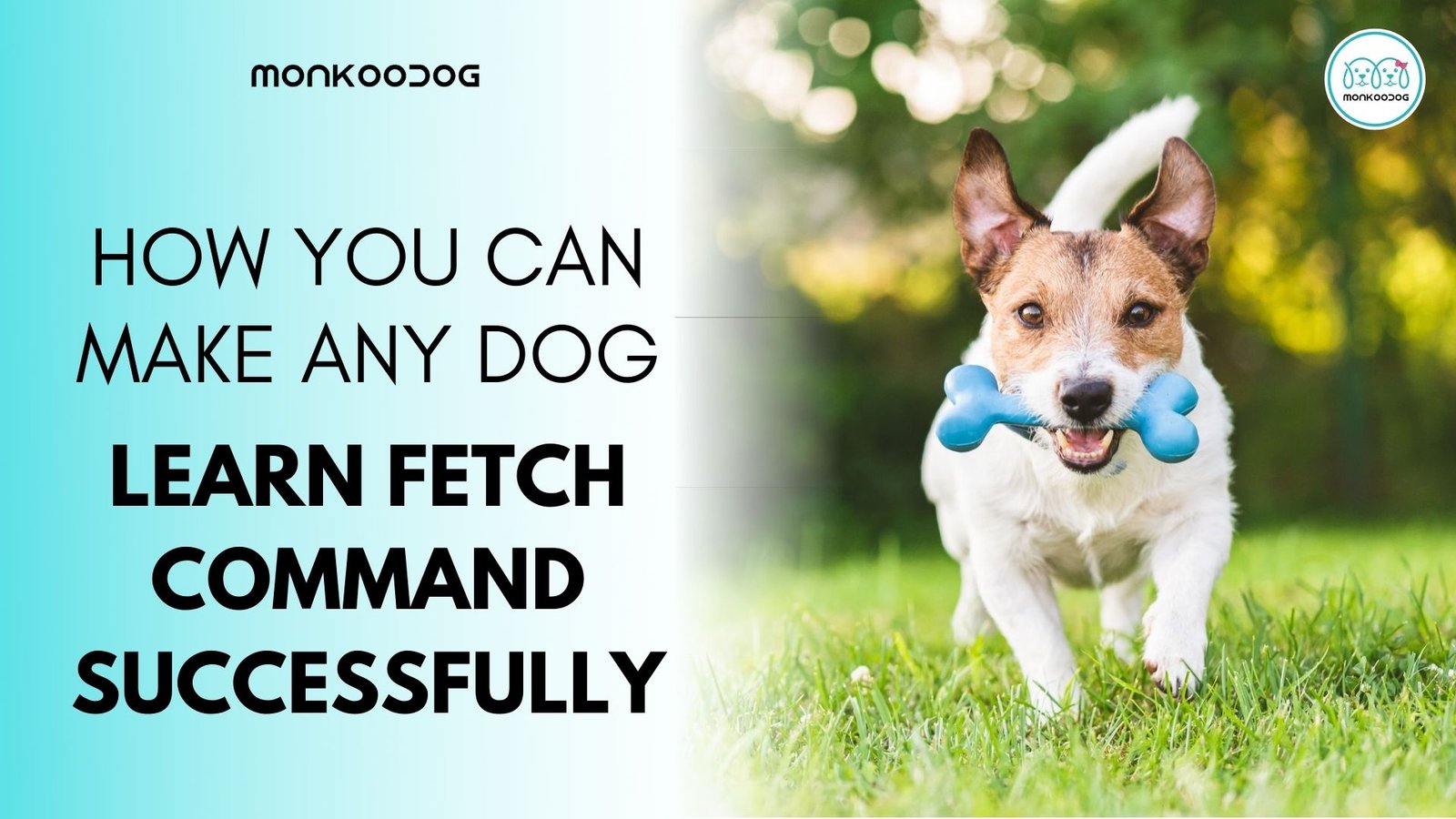 fetch command dog