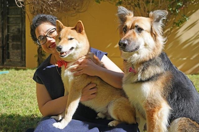 Meet Akira, World’s Smartest Dog