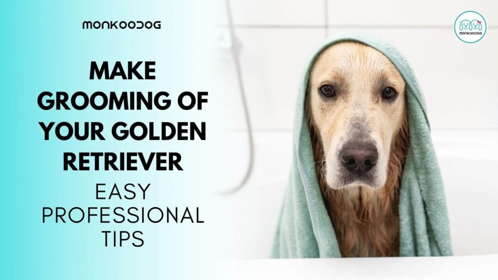 Make Grooming of your Golden Retriever easy with these Professional Tips
