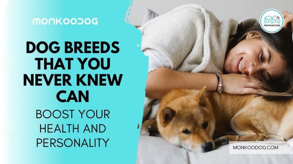 best dog breeds that can boost your health and personality