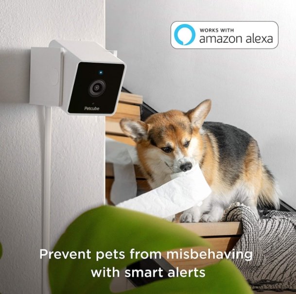 Cam Pet Monitoring Camera