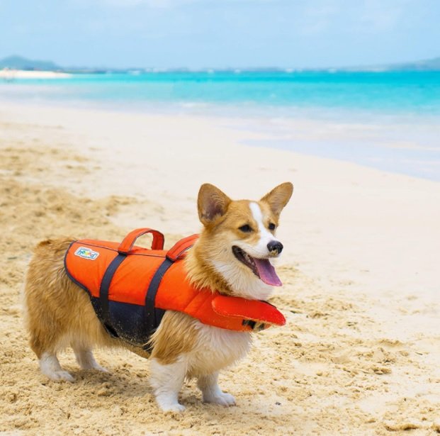 Outward Hound Dog Life Jacket