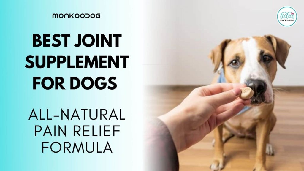 The Best Joint Supplements For Dogs All Natural Pain Relief Formula