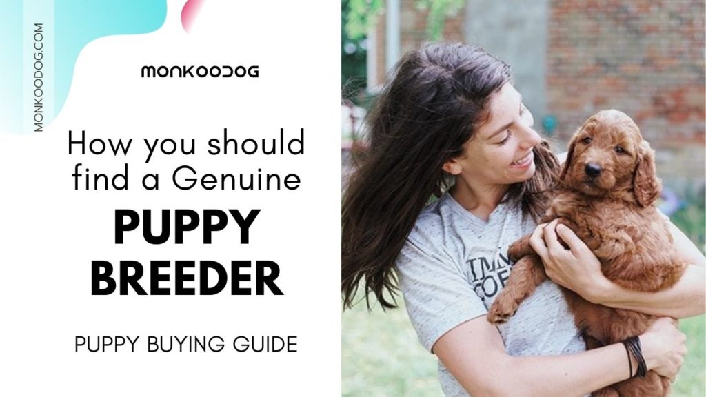Puppy Buying Guide, Finding The Right Breeder