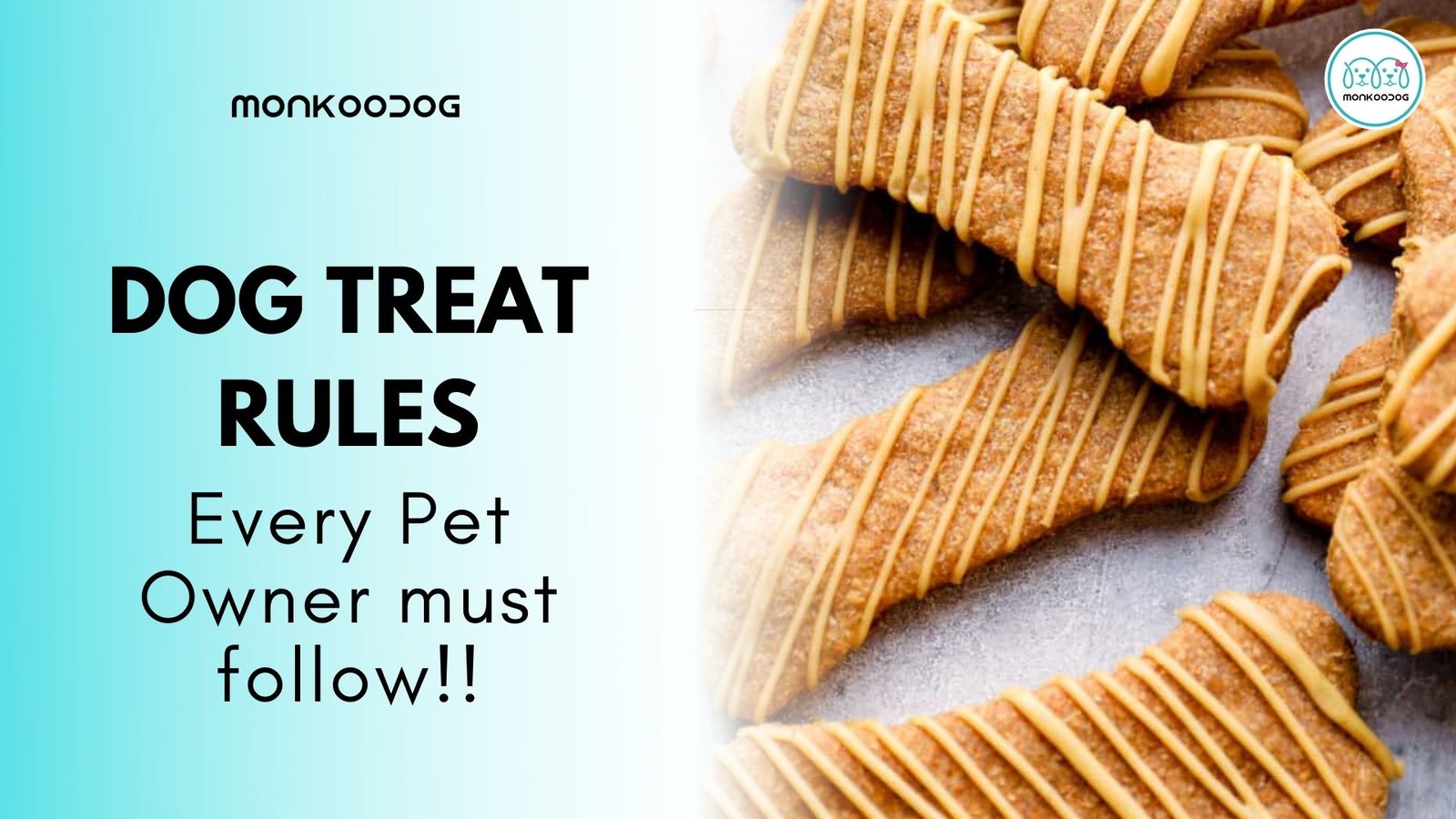 Dog Treats Every Pet Owner Must Follow