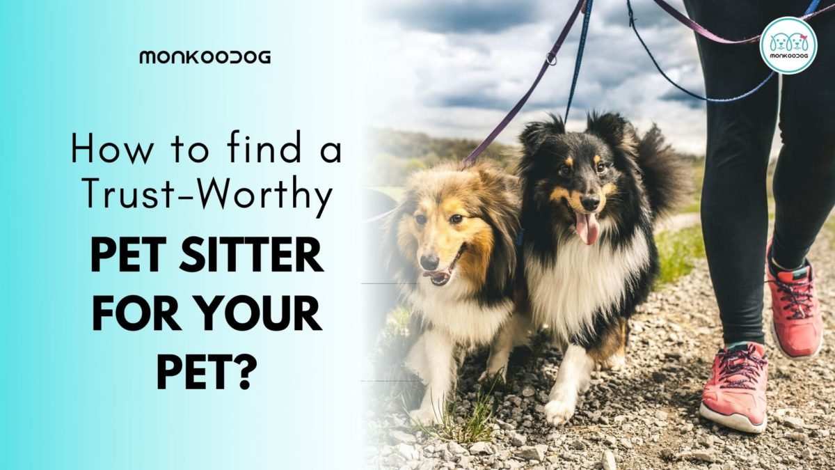 How do I Find a Trustworthy Pet Sitter?