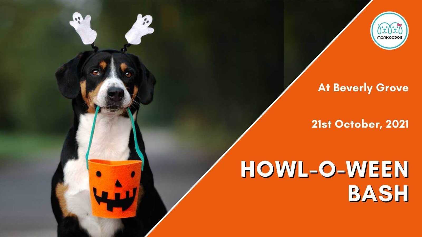Howl-O-Ween Bash at Beverly Grove