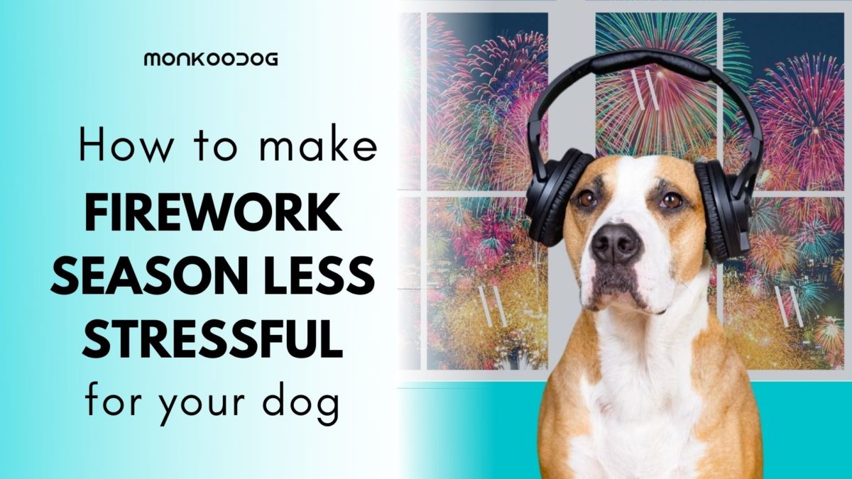 How to make Firework season less stressful for dogs?