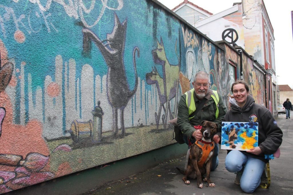 Banksy, the rescue dog