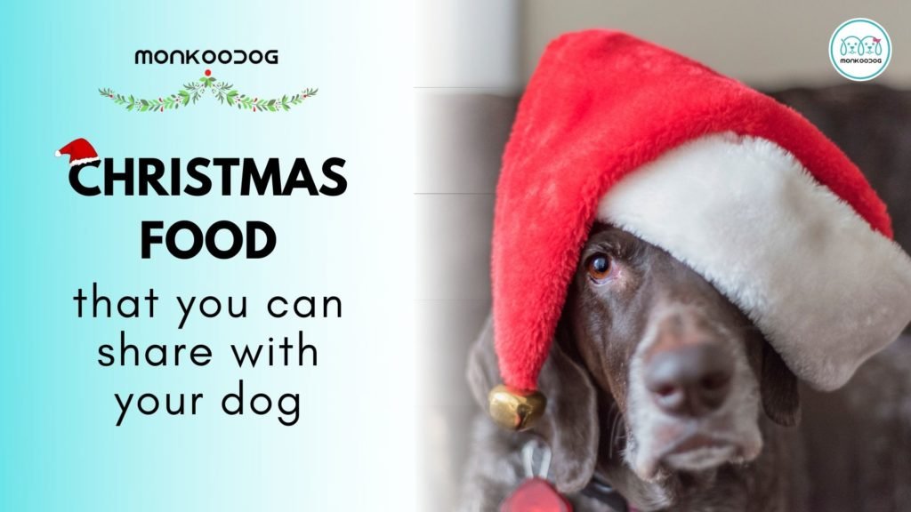 Christmas food that you cans hare with your dog