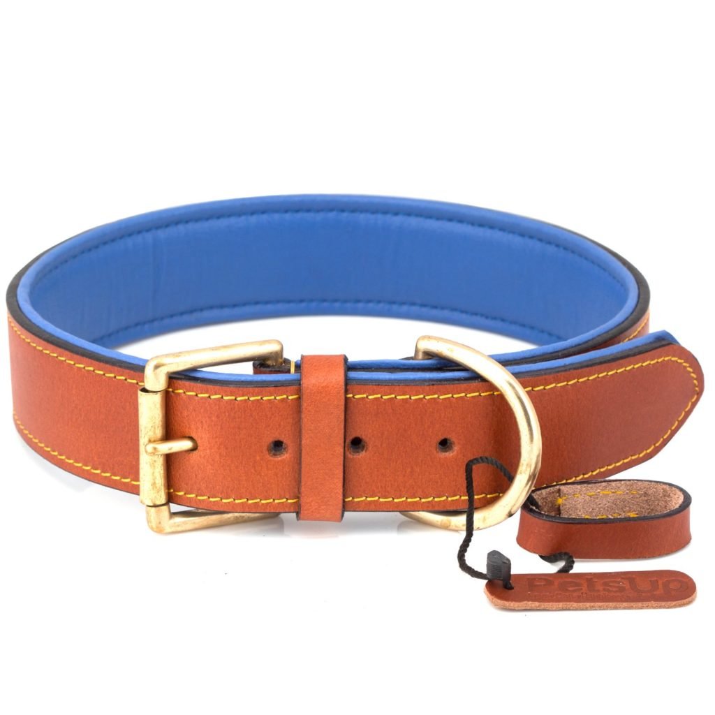 Leather Padded Dog Collars