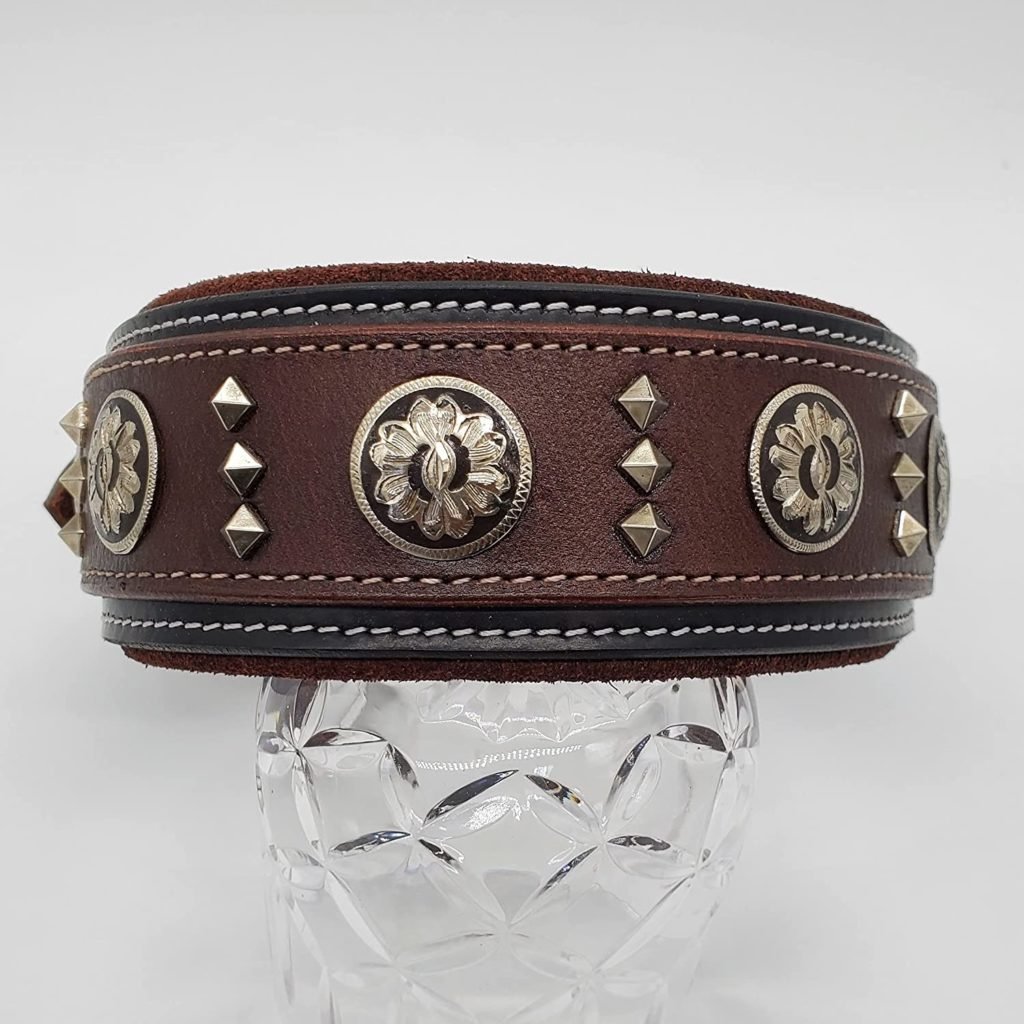 Leather Western Dog Collar