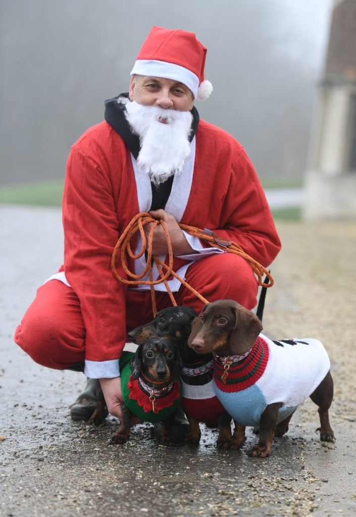 Sausage dog with santa