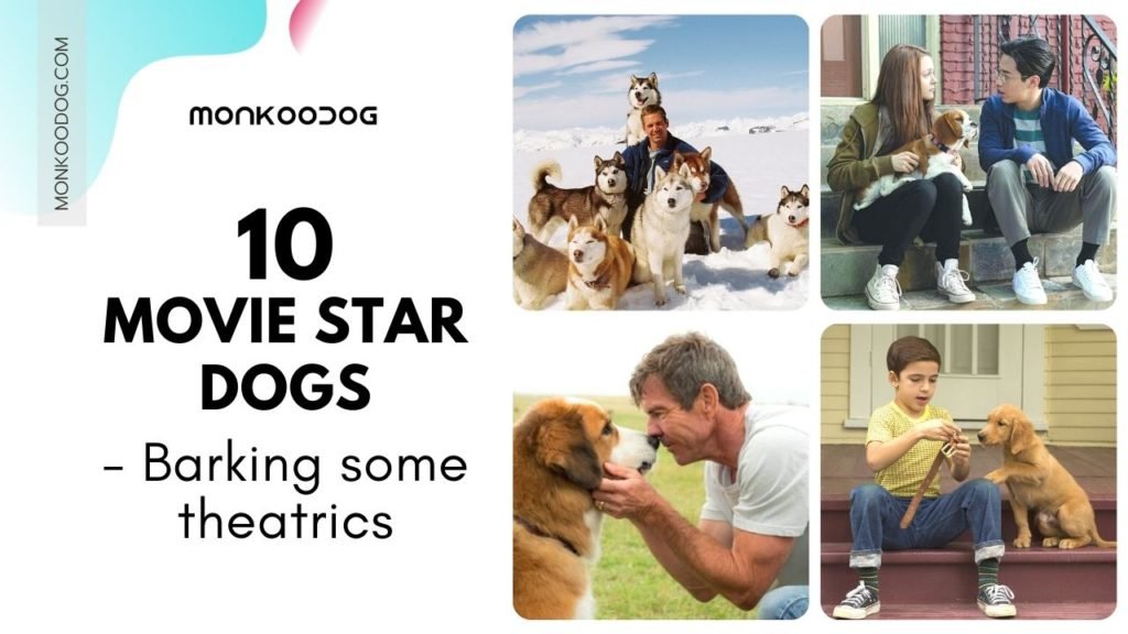 10 dog movie dogs that you should watch in 2022