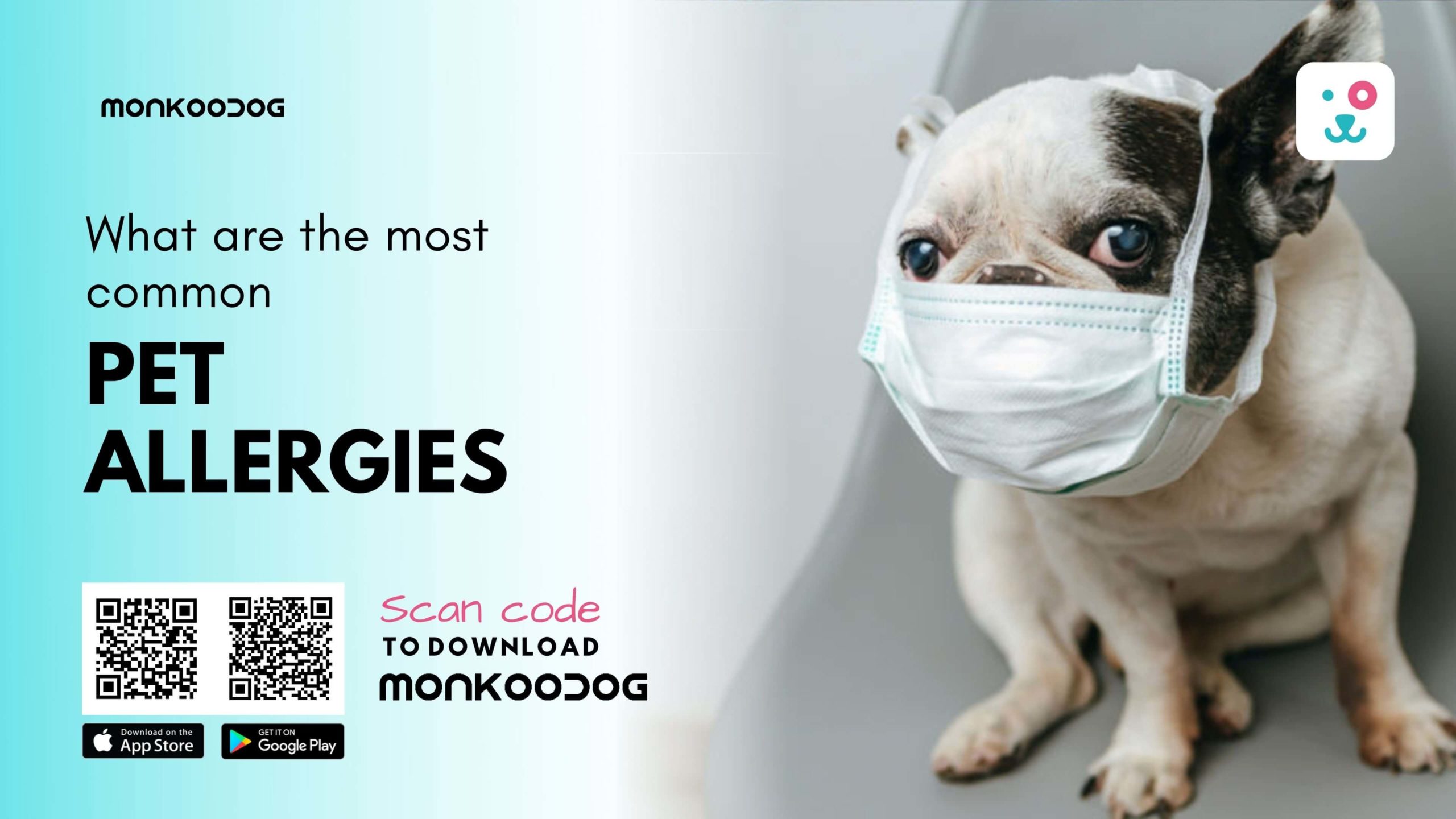 What are the most common pet allergies