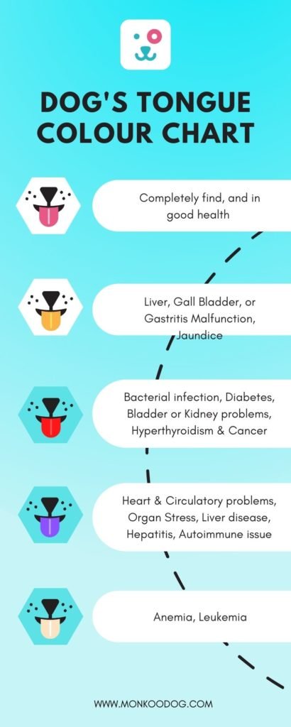 All you can learn about a dog's health by their tongue color chart