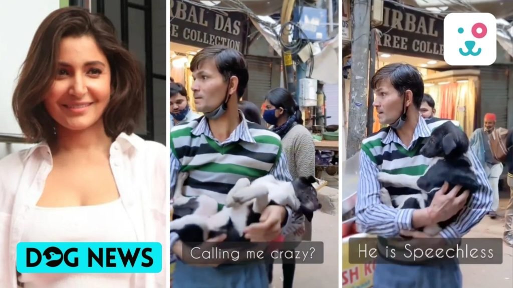 Anushka Sharma hails a Delhi man for caring for an injured stray dog despite being called 'Pagal'; WATCH