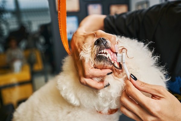 During Brushing their Teeth