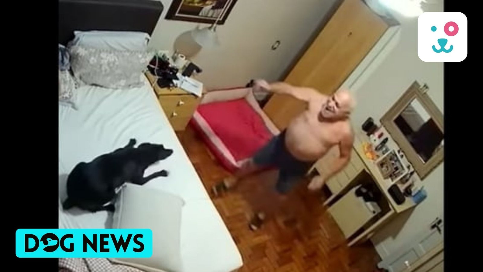 Elderly man plays with dog his children gifted him after wife’s death. Watch