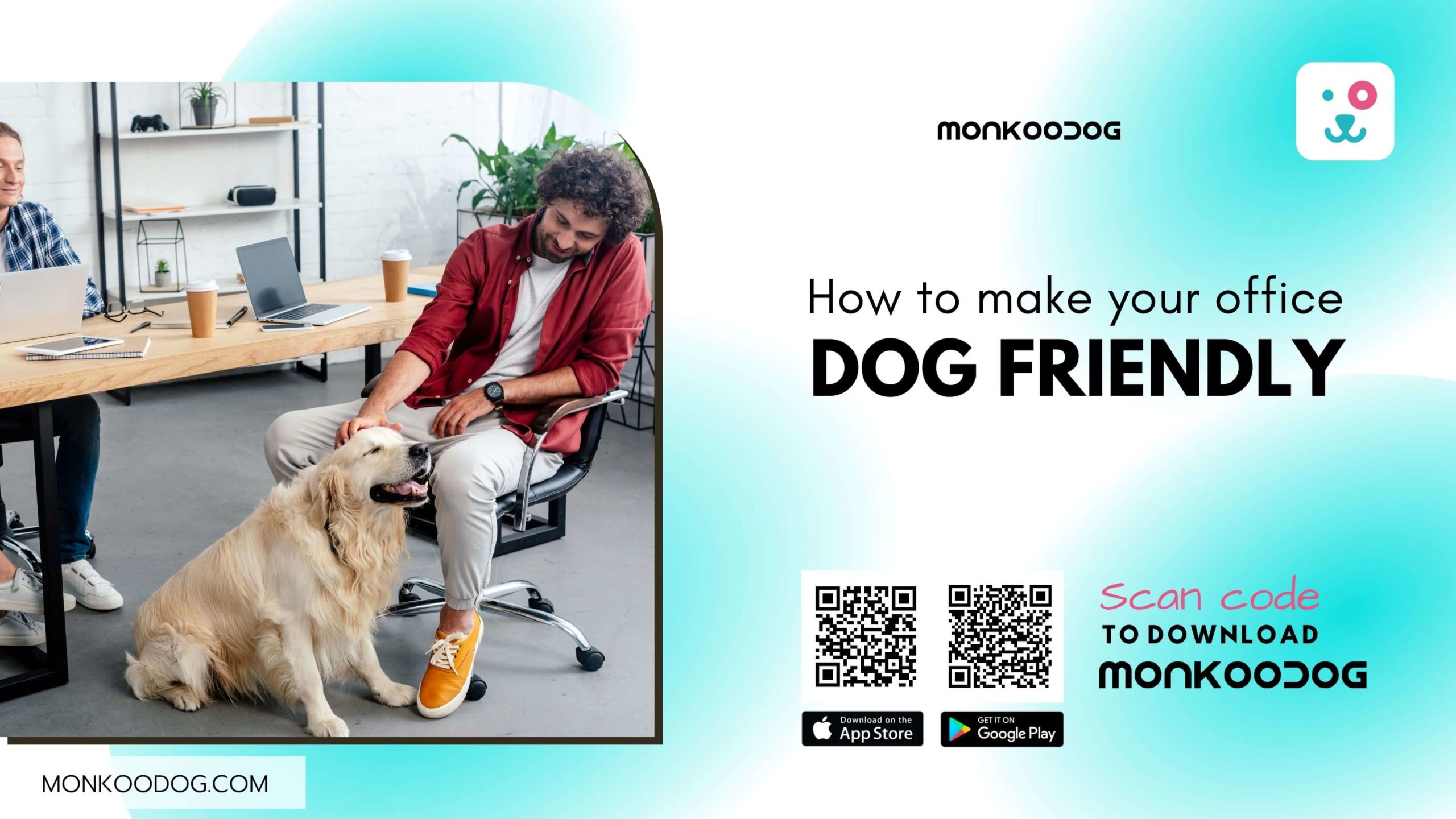 How to make your office dog friendly