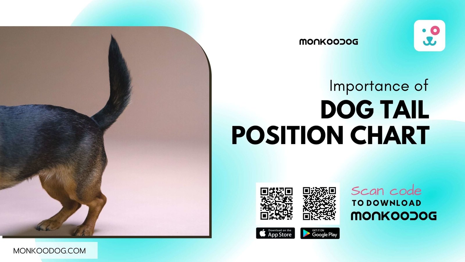 Importance of dog tail position chart