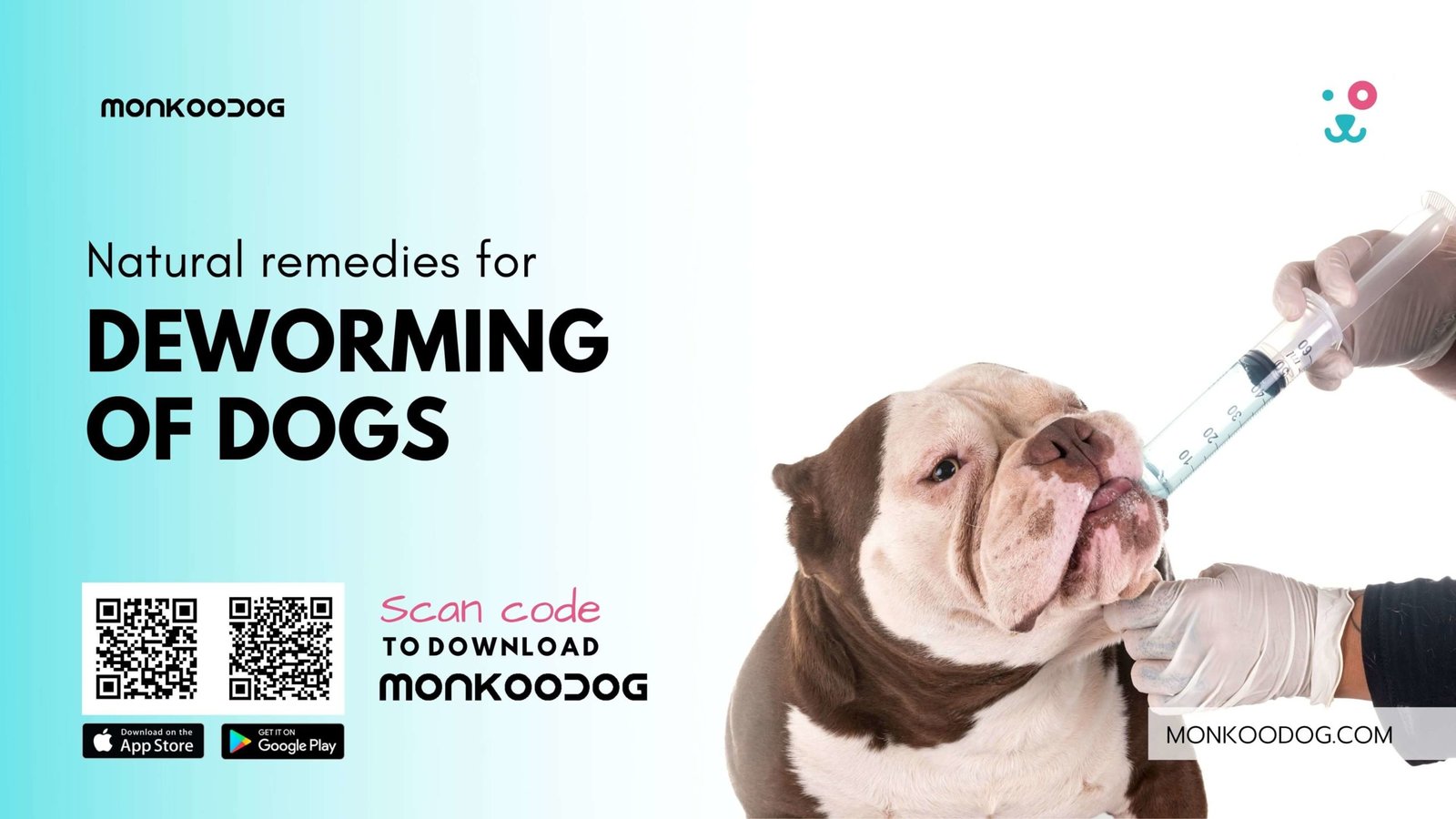 NATURAL REMEDIES FOR DEWORMING OF DOGS