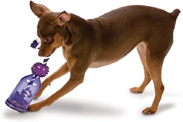 Petsafe Busy Buddy Tug-A-Meal dispensing Dog Toy