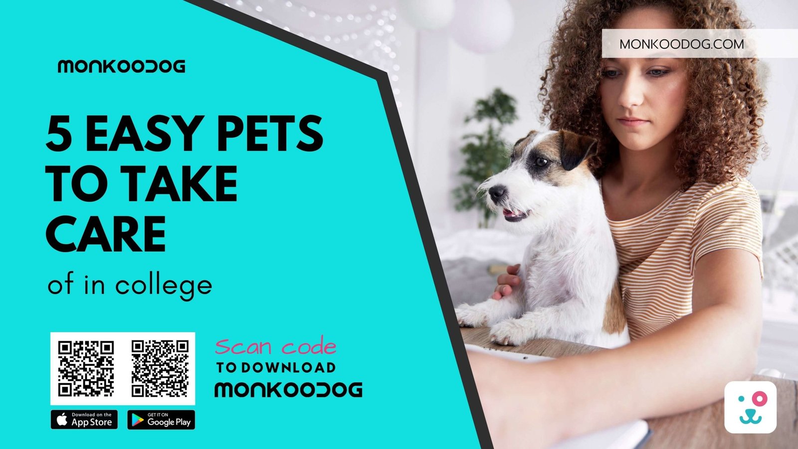 Easy Pets to Take Care of In College