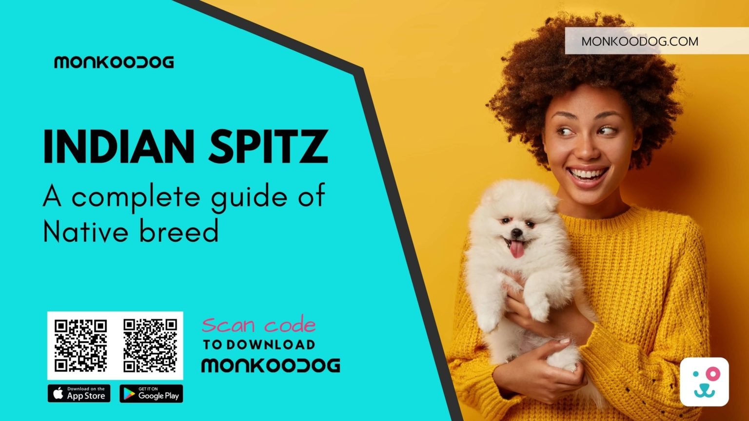 A Complete Guide of Native Breed Indian Spitz Monkoodog