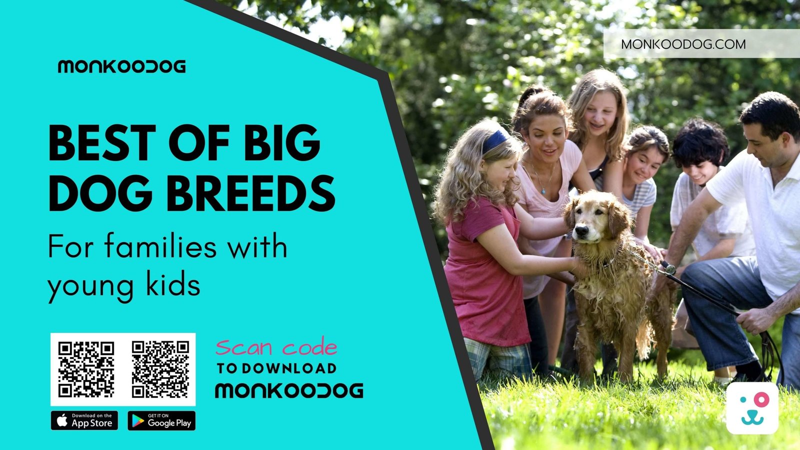 Best dogs for families with young children monkoodog