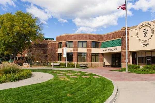 Colorado State University