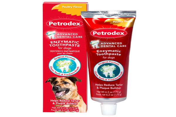 Enzymatic dog toothpaste