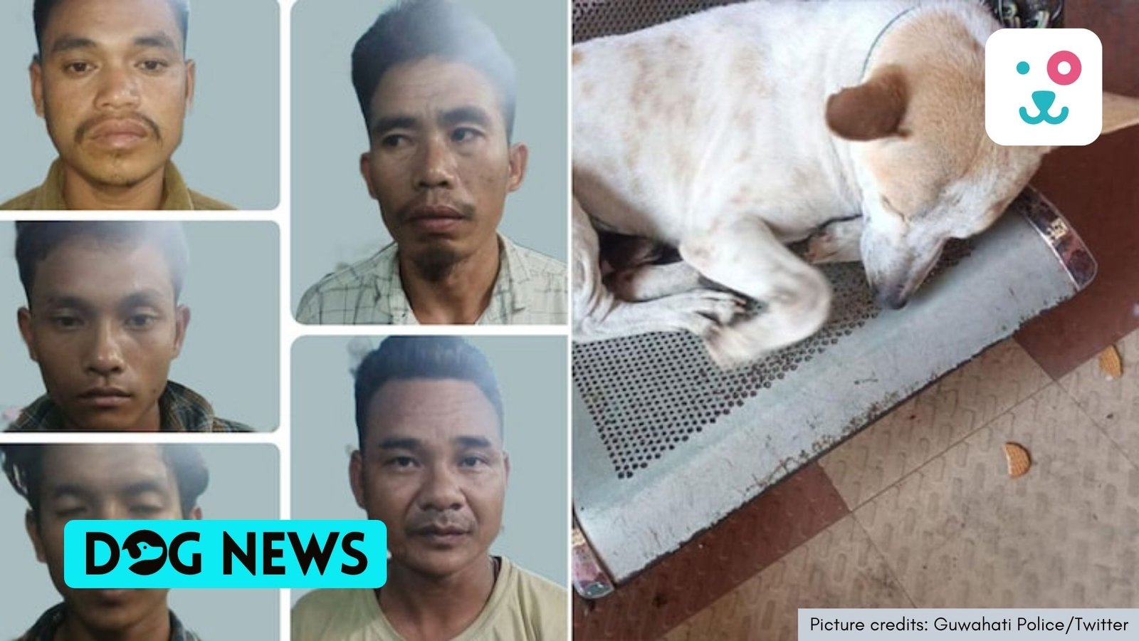 Guwahati Gang involved in dog smuggling busted; one dog rescued